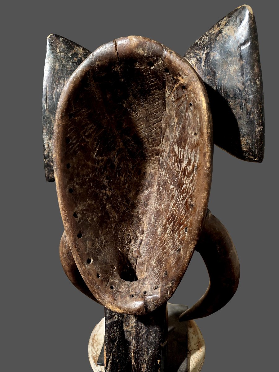 Baoulé Elephant Mask, Ivory Coast-photo-4