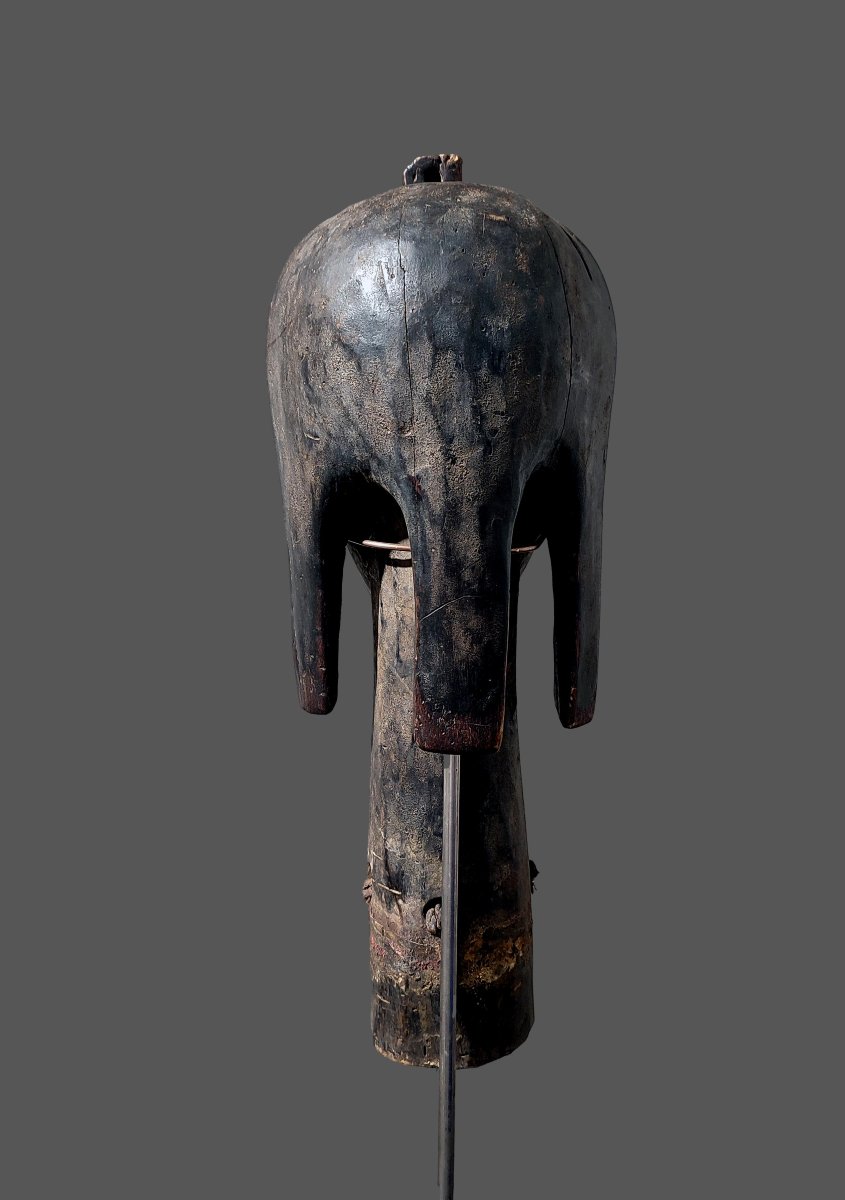 Fang Byeri Head Statue, Guardian Of A Reliquary, Gabon, N'tumu-photo-3