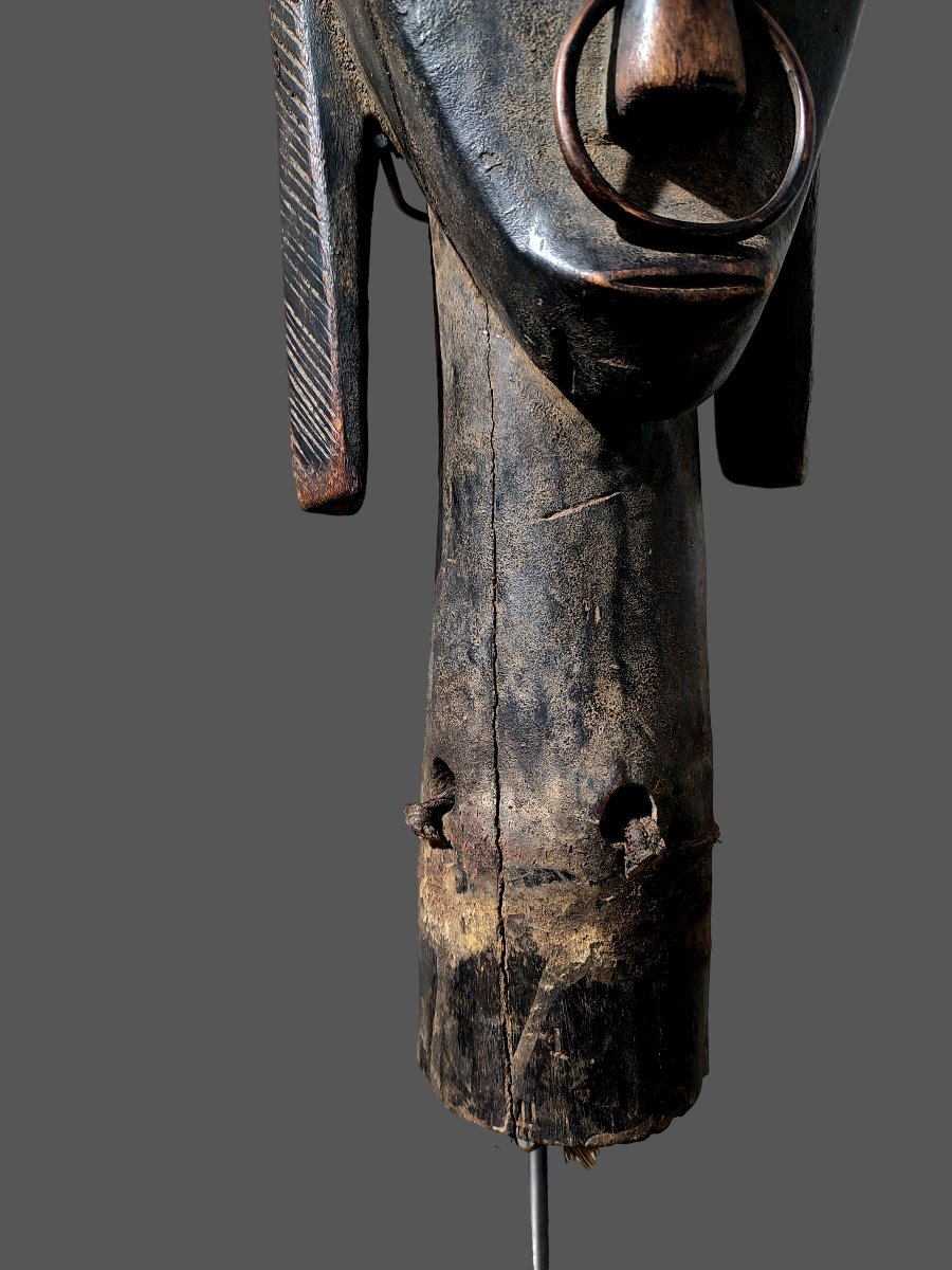 Fang Byeri Head Statue, Guardian Of A Reliquary, Gabon, N'tumu-photo-1