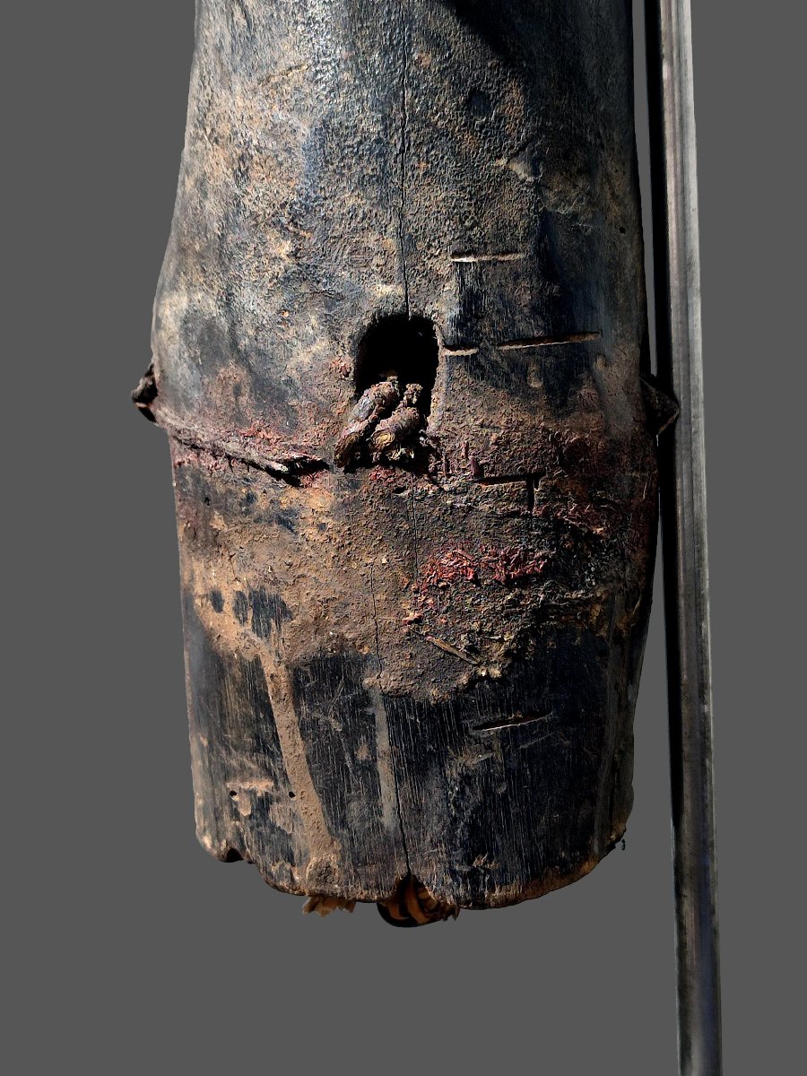 Fang Byeri Head Statue, Guardian Of A Reliquary, Gabon, N'tumu-photo-2