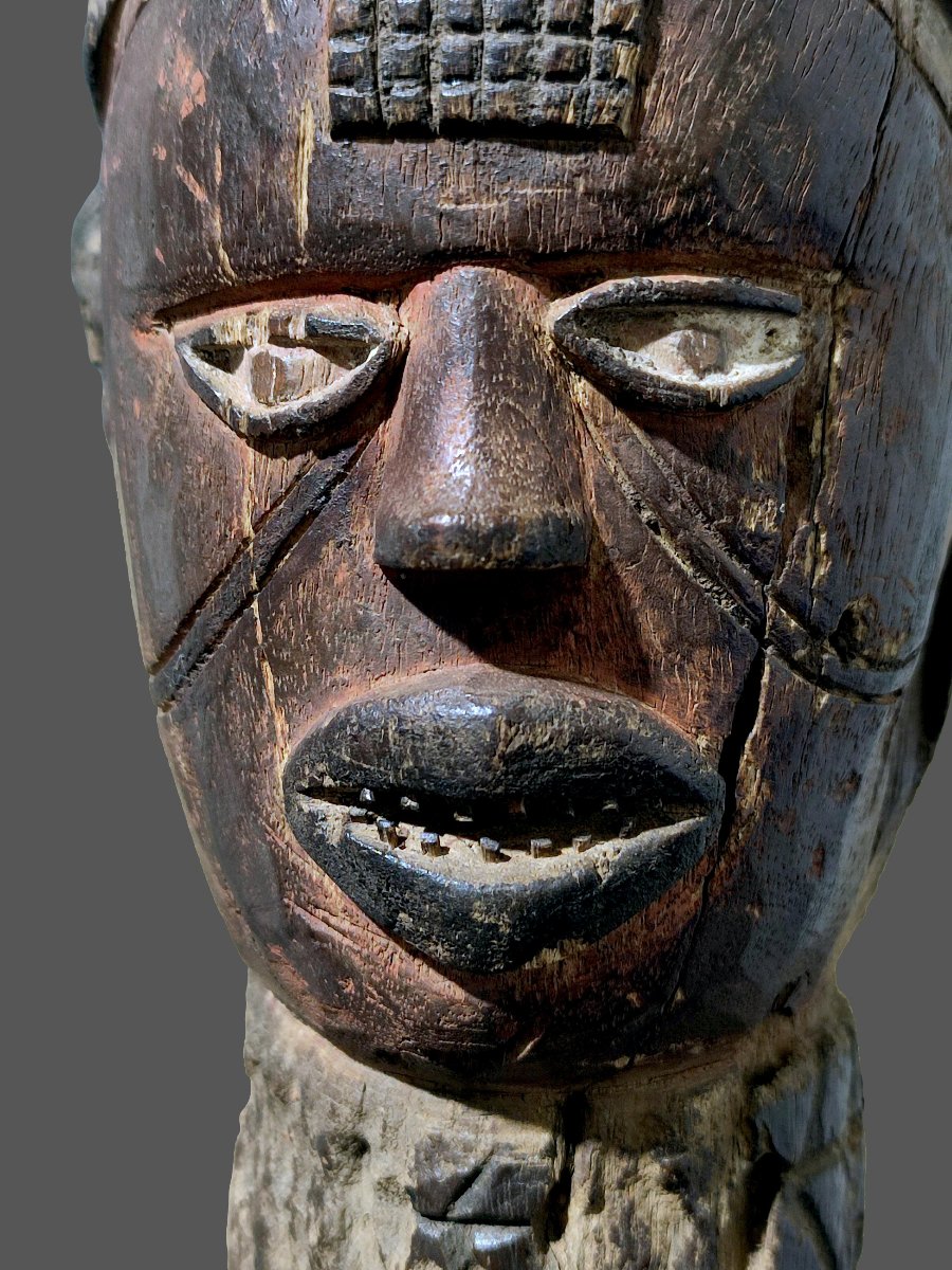 Grande marotte Kuyu patine d'abandon  République du Congo (région de la rivière Kuyu)-photo-3