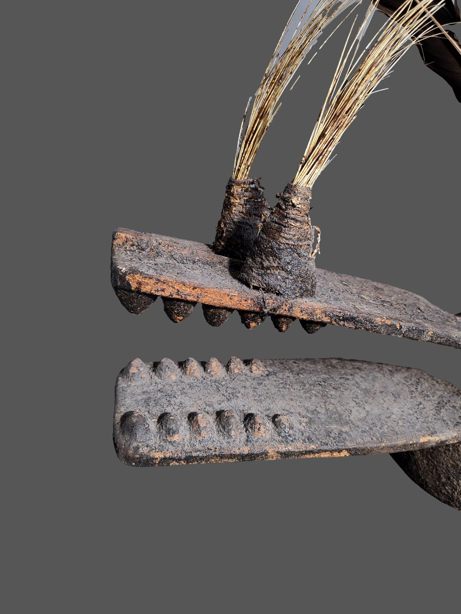 Large Komo Mask From The Bambara People Of Mali-photo-4