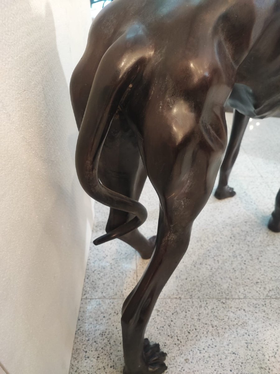 Paire de lévriers bronze-photo-3