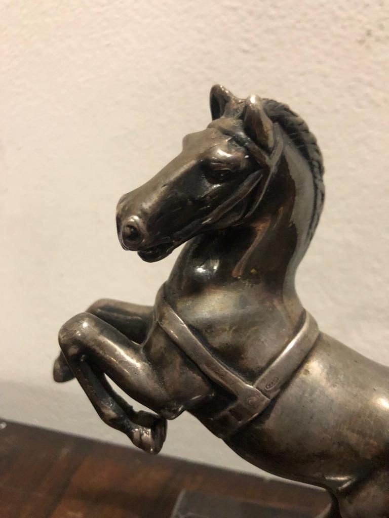 Cheval De Pramping 19e Siècle-photo-2