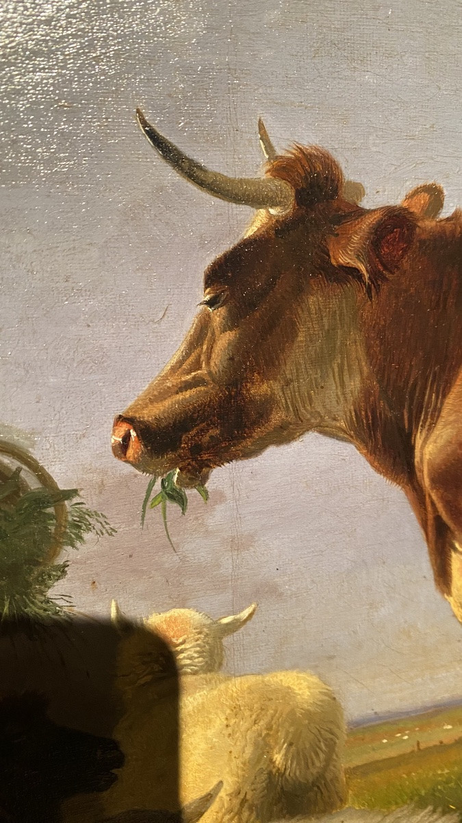 Thomas George Cooper, 1836 - 1901-photo-4