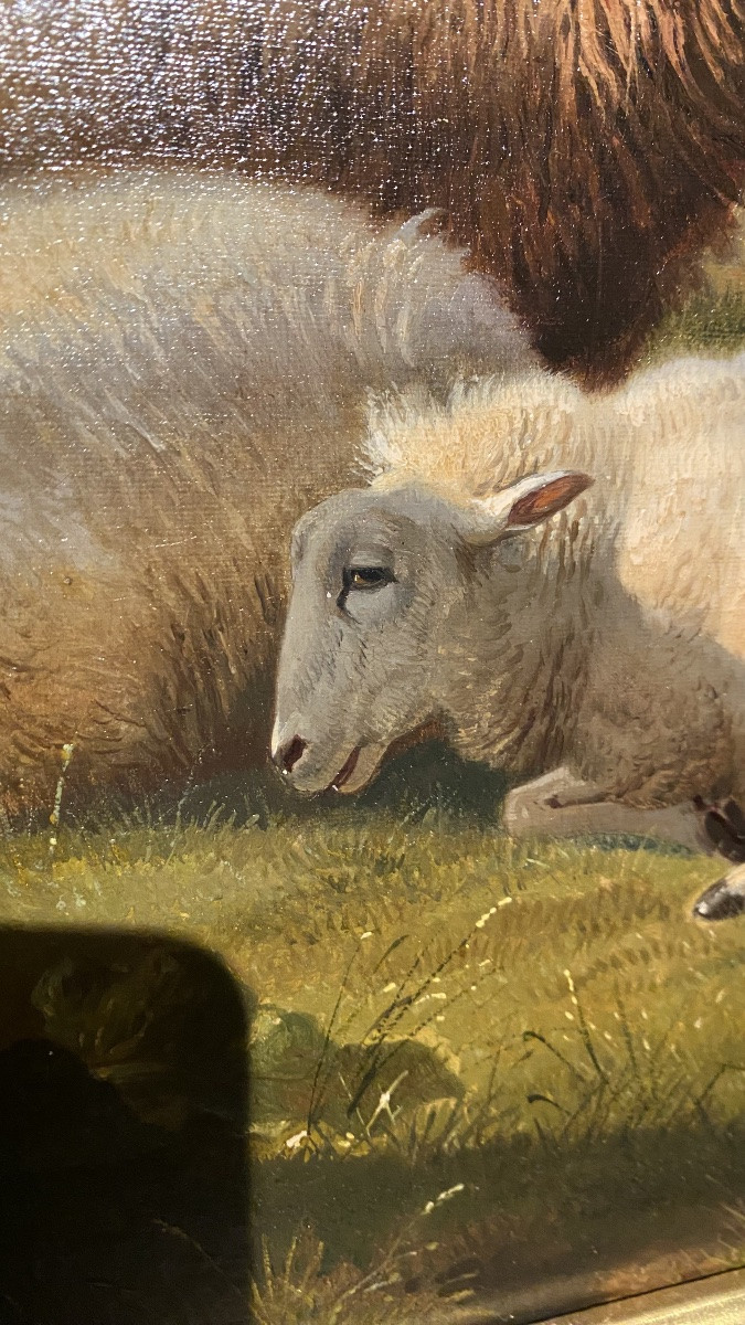 Thomas George Cooper, 1836 - 1901-photo-5