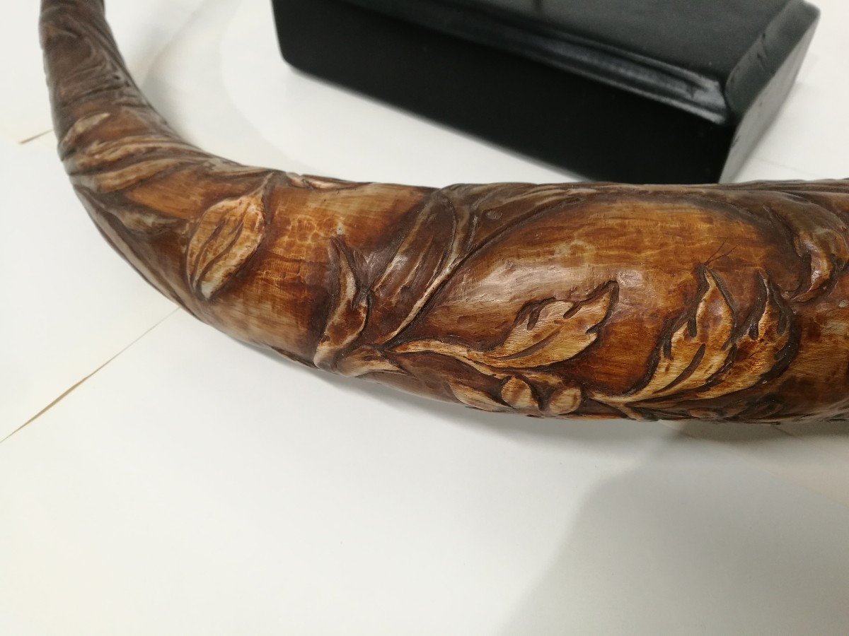 Carved Horn From 1800-photo-2