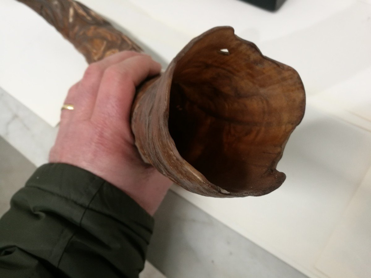 Carved Horn From 1800-photo-3