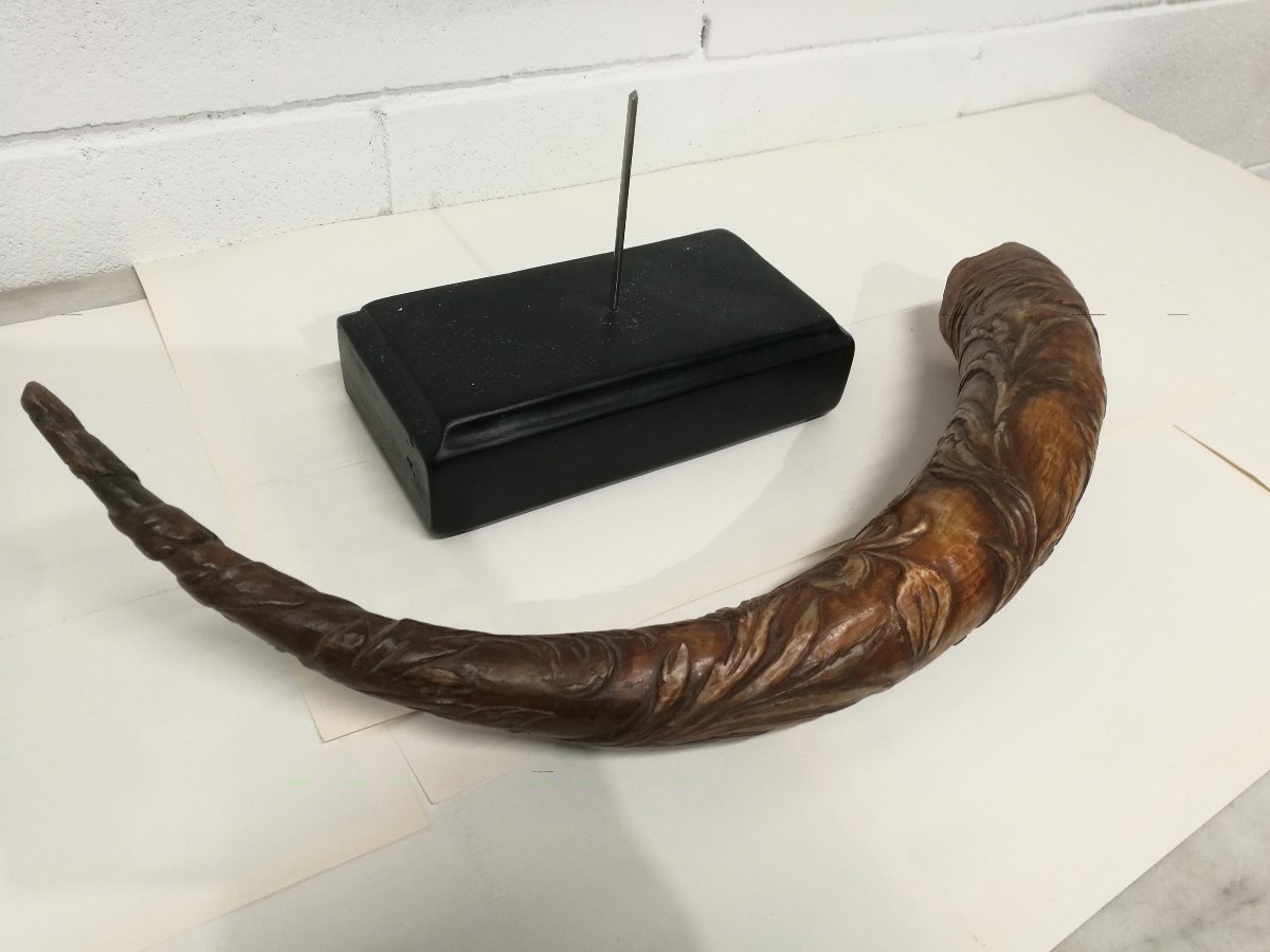 Carved Horn From 1800-photo-4