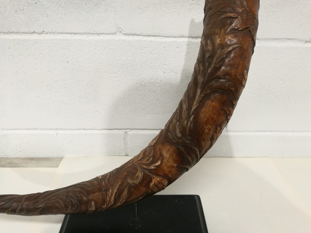 Carved Horn From 1800-photo-3