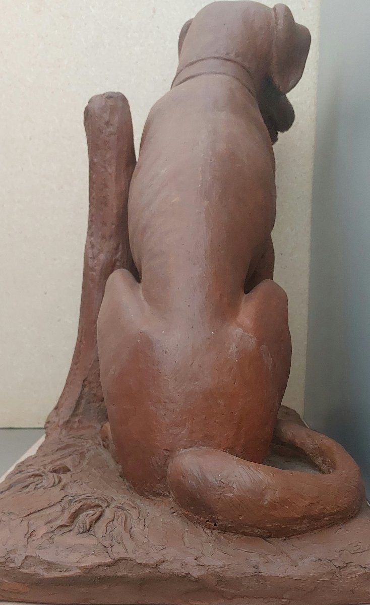 Sculpture du XVIIIe Siècle en Terre Cuite Patinée – Chien de Chasse-photo-2