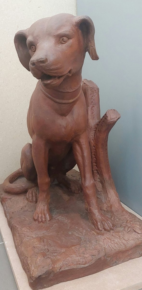 18th-century Patinated Terracotta Sculpture – Hunting Dog-photo-2