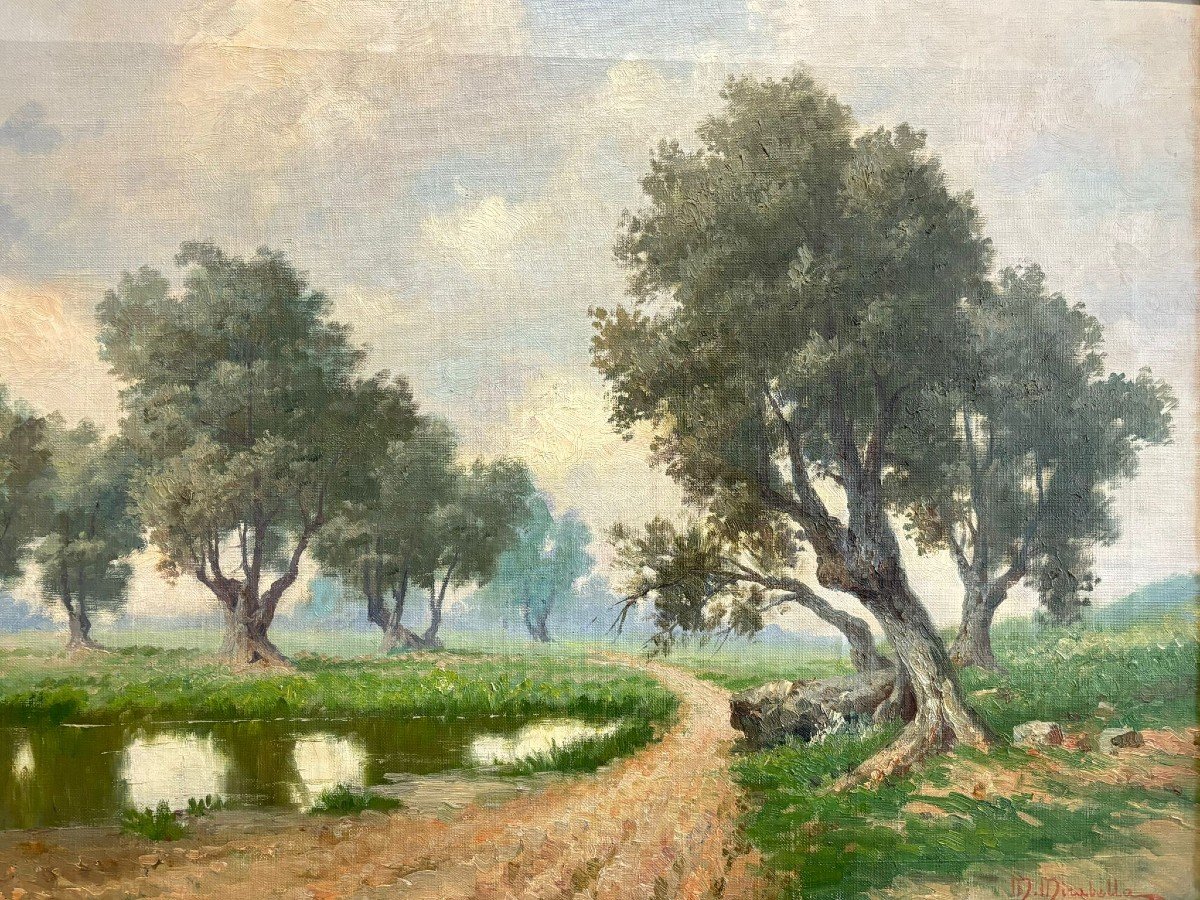 Mario Mirabella (palermo, 1870 – 1931) Olive Trees In The Conca d'Oro.-photo-4