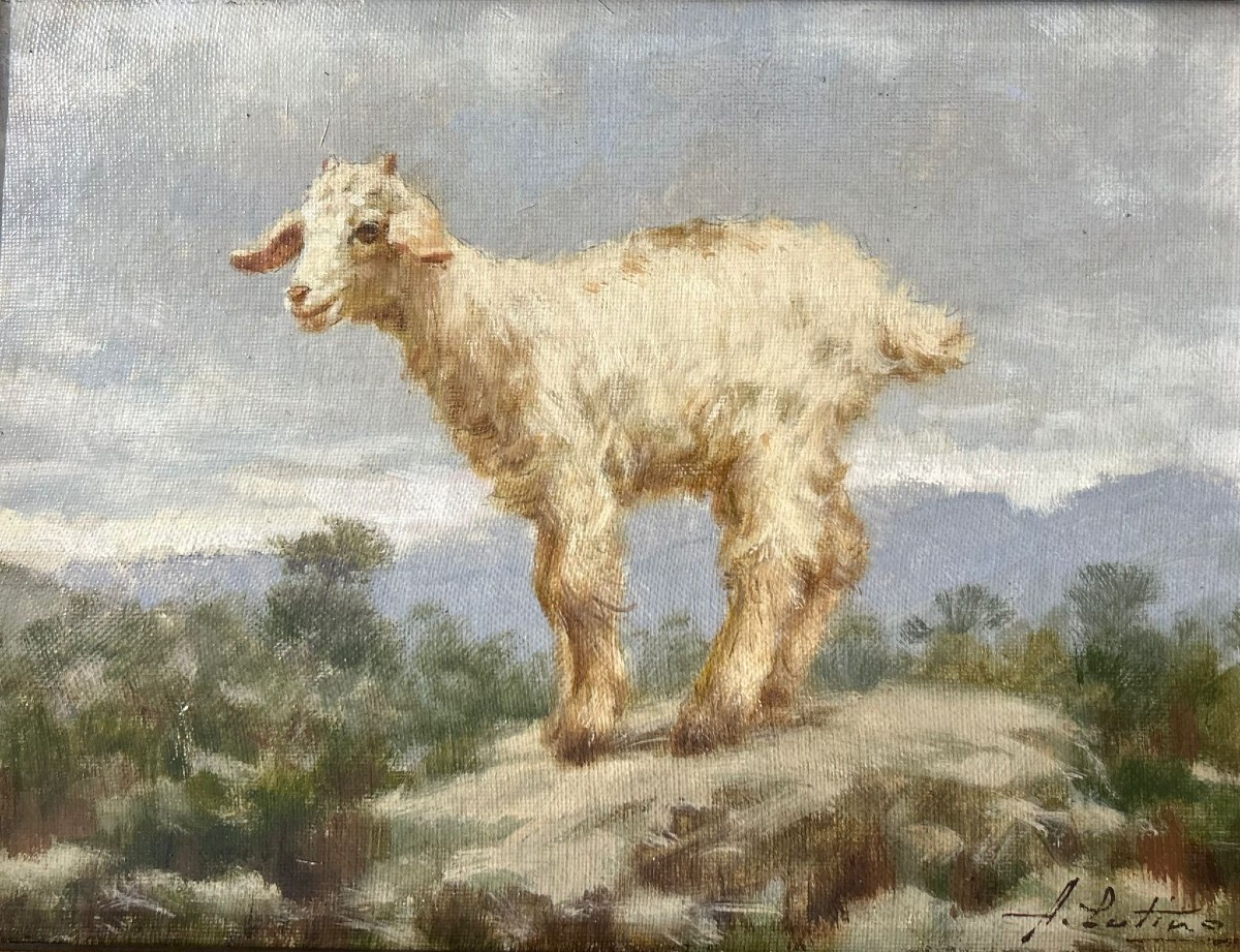 Antonio Cutino (new York 1905 - Palermo 1984), Capretta.-photo-2