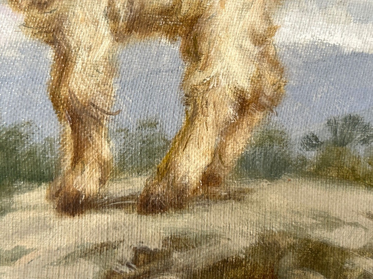 Antonio Cutino (new York 1905 - Palermo 1984), Capretta.-photo-3