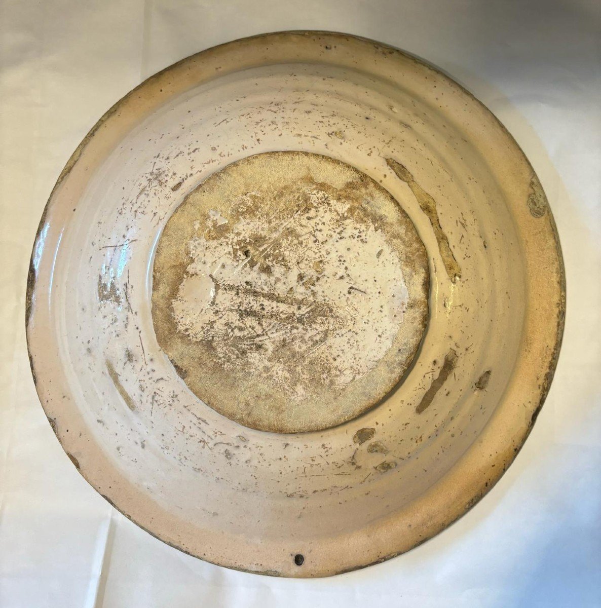 Plate In Montelupo Majolica-photo-2