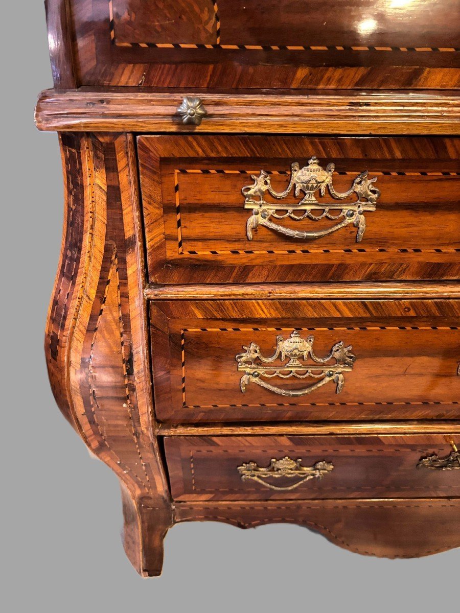 Pleins Feux Sur Les Pays-bas-photo-1