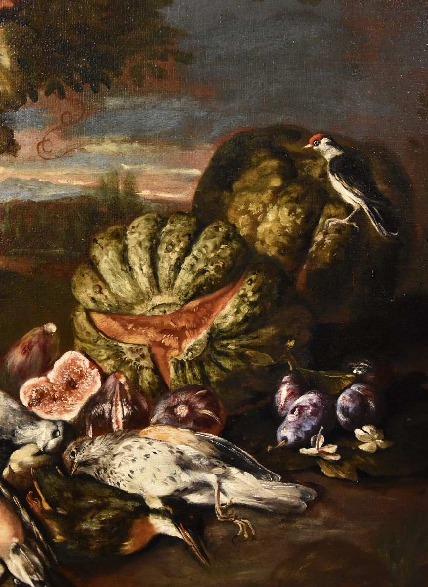 Still Life In A Landscape, Giovanni Paolo Castelli, Known As Spadino (rome, 1659-1730) Attribut-photo-3