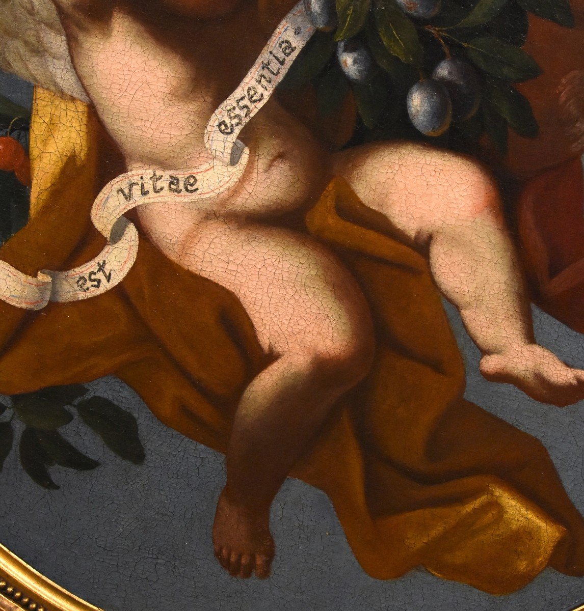 Trois Anges Tenant Une Composition De Fruits, Luigi Garzi (pistoia 1638 - Rome 1721) Attribué-photo-3