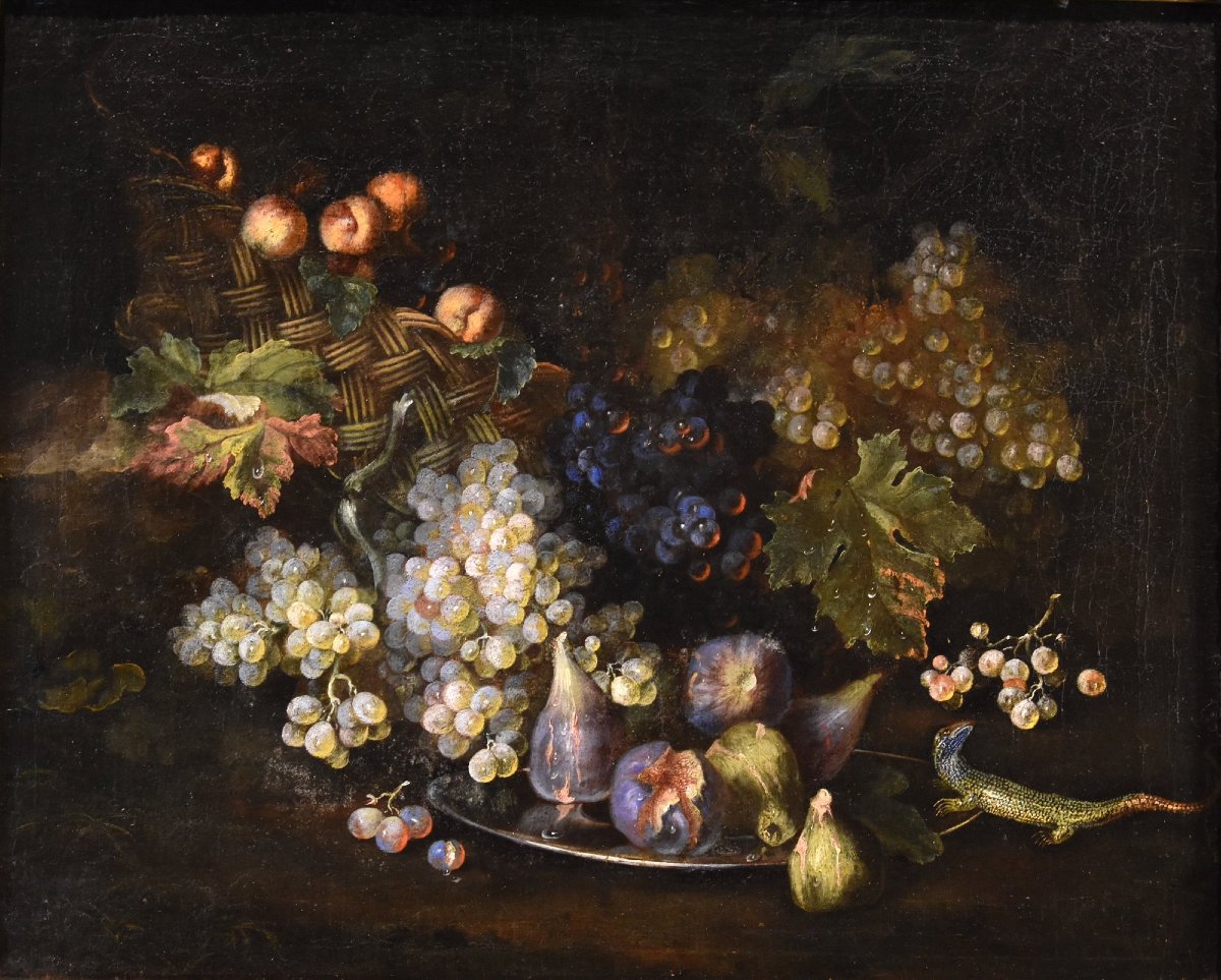 Nature morte aux fruits avec lézard, Franz Werner Von Tamm (Hambourg 1658-vienne 1754)-photo-2