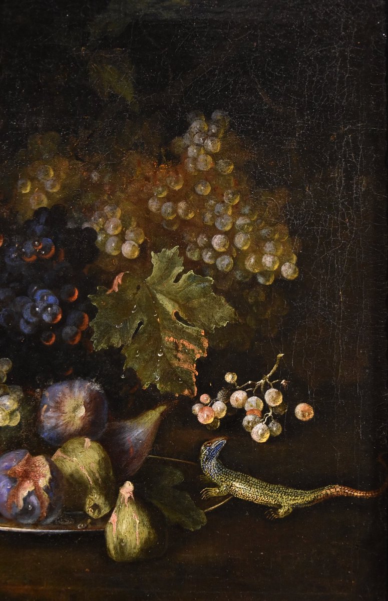 Nature morte aux fruits avec lézard, Franz Werner Von Tamm (Hambourg 1658-vienne 1754)-photo-4