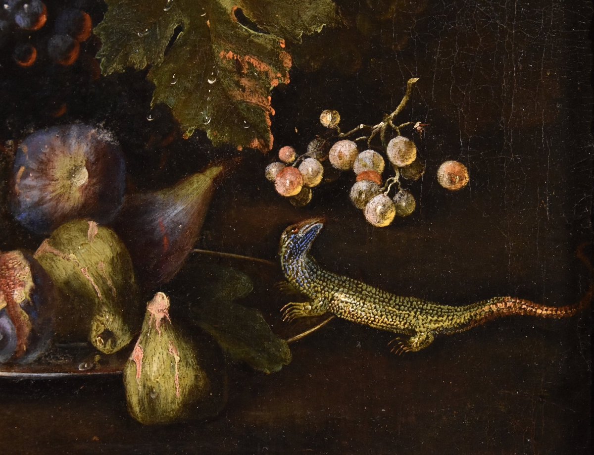 Nature morte aux fruits avec lézard, Franz Werner Von Tamm (Hambourg 1658-vienne 1754)-photo-4