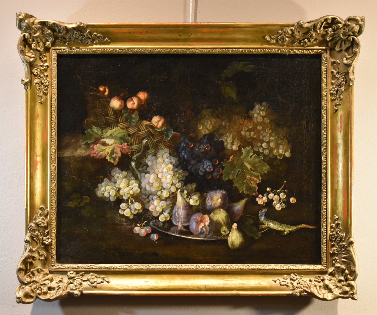 Nature morte aux fruits avec lézard, Franz Werner Von Tamm (Hambourg 1658-vienne 1754)