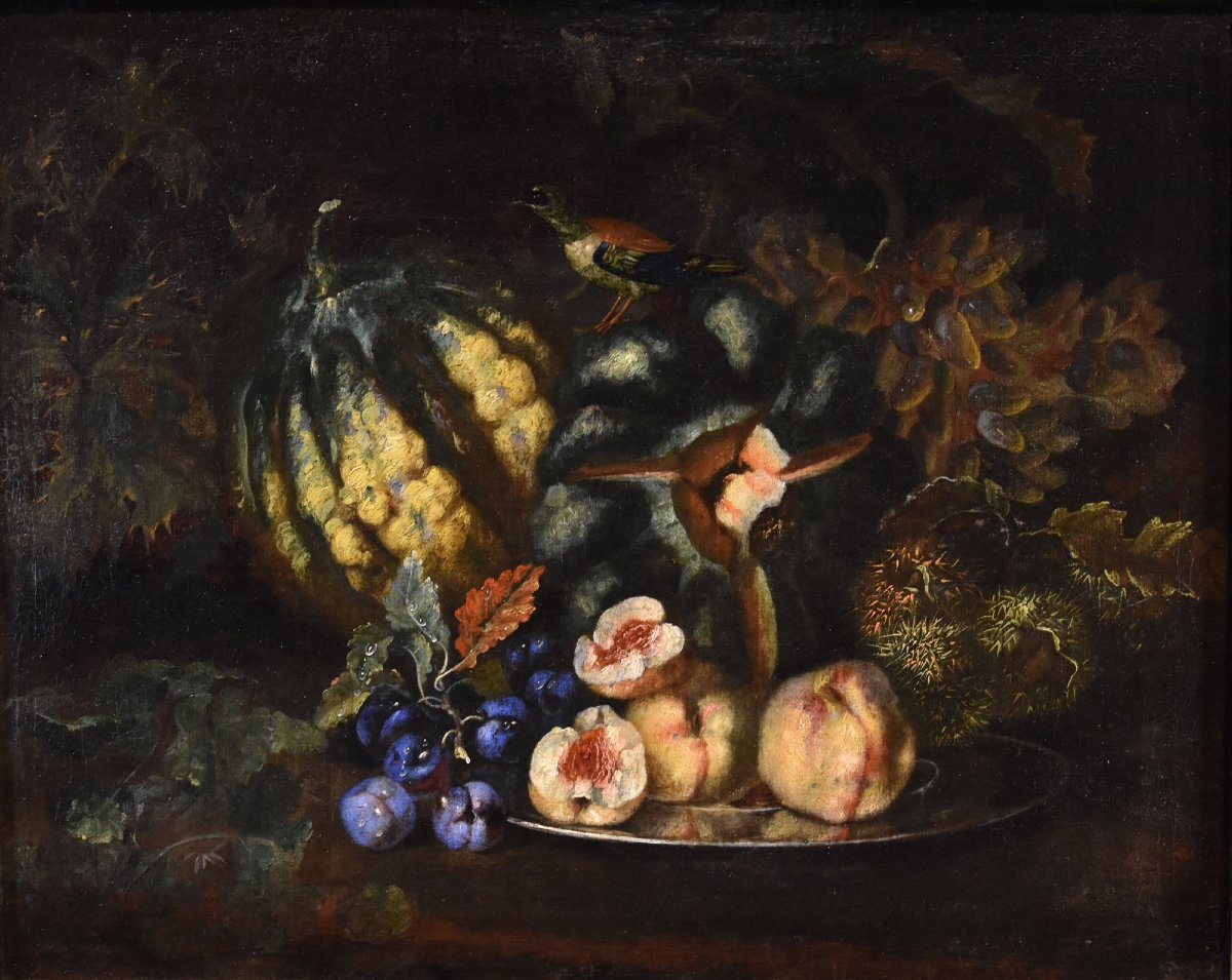 Still Life Of Fruit With Green Woodpecker, Franz Werner Von Tamm (hamburg 1658 - Vienna 1754) -photo-2