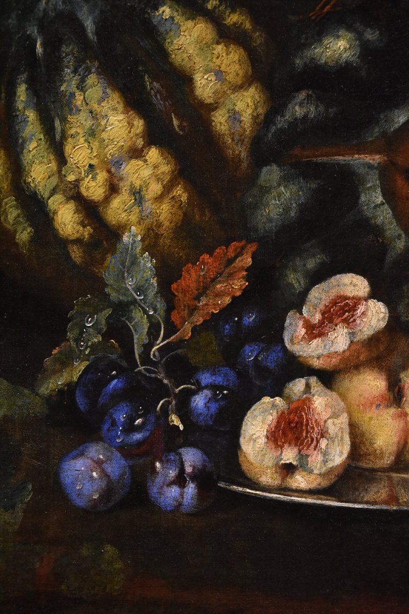 Still Life Of Fruit With Green Woodpecker, Franz Werner Von Tamm (hamburg 1658 - Vienna 1754) -photo-4