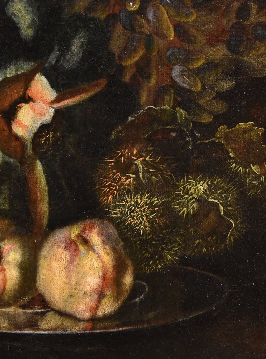 Still Life Of Fruit With Green Woodpecker, Franz Werner Von Tamm (hamburg 1658 - Vienna 1754) -photo-1