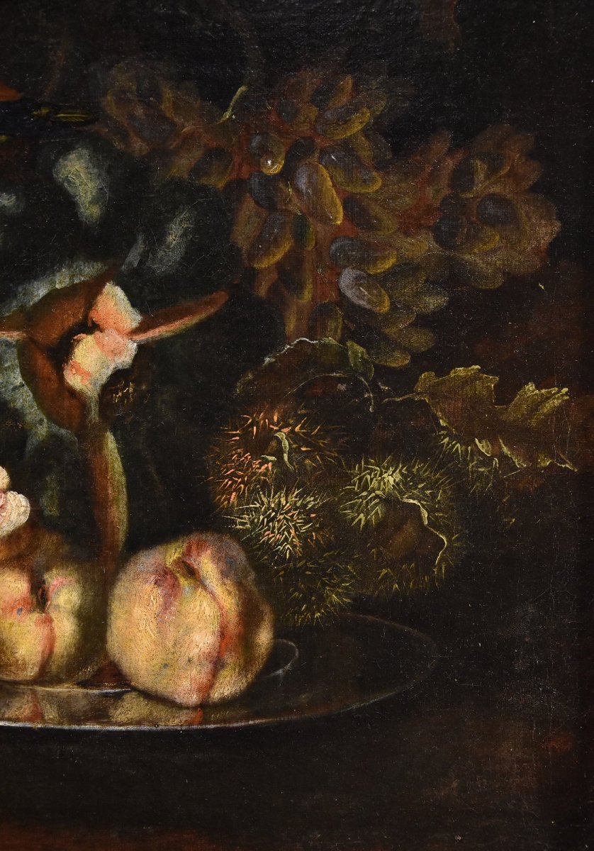 Still Life Of Fruit With Green Woodpecker, Franz Werner Von Tamm (hamburg 1658 - Vienna 1754) -photo-2