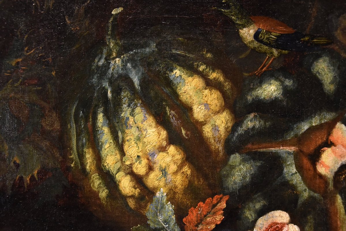 Still Life Of Fruit With Green Woodpecker, Franz Werner Von Tamm (hamburg 1658 - Vienna 1754) -photo-4
