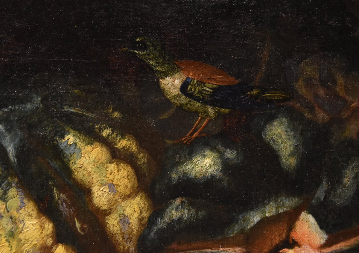 Still Life Of Fruit With Green Woodpecker, Franz Werner Von Tamm (hamburg 1658 - Vienna 1754) -photo-5