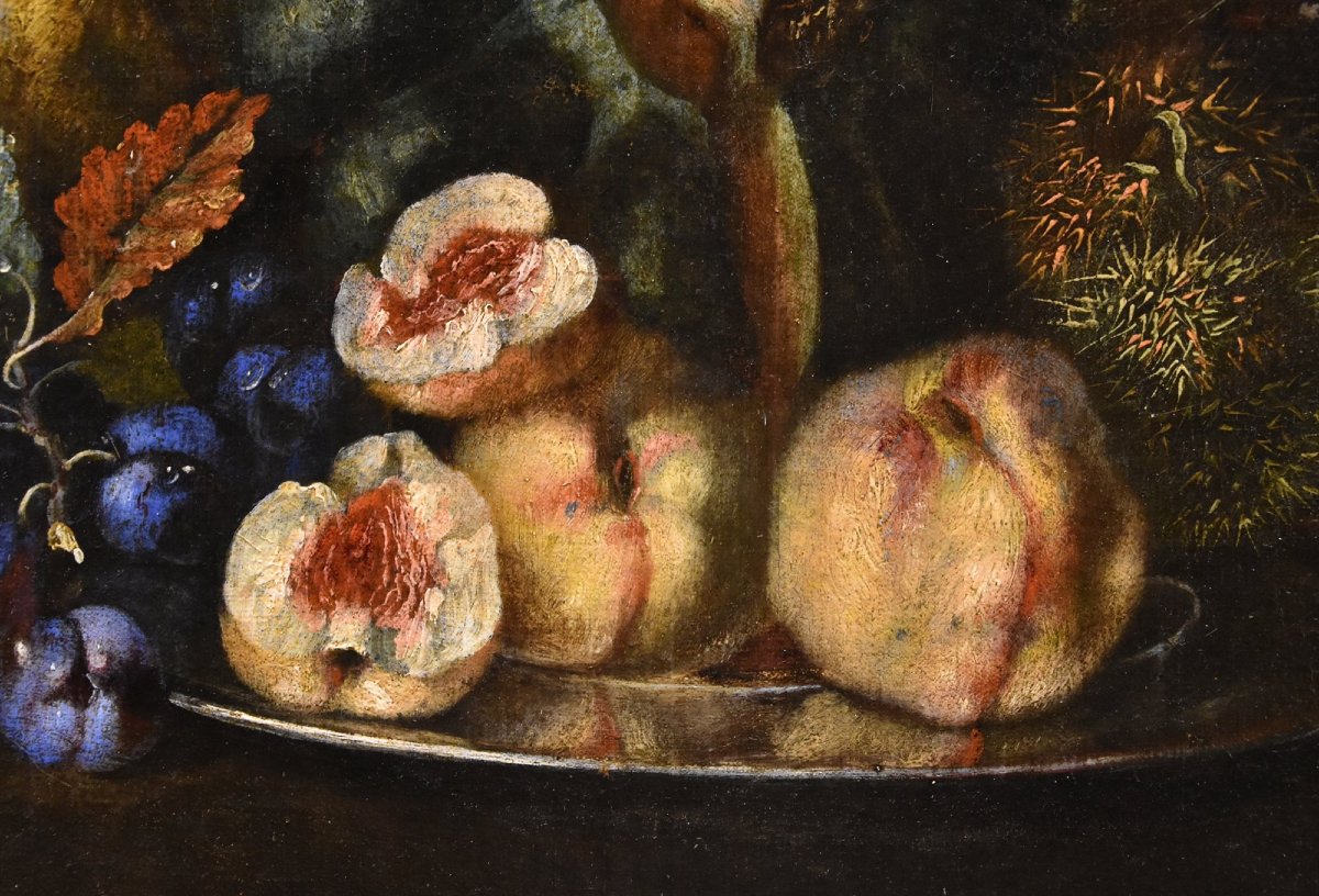 Still Life Of Fruit With Green Woodpecker, Franz Werner Von Tamm (hamburg 1658 - Vienna 1754) -photo-7