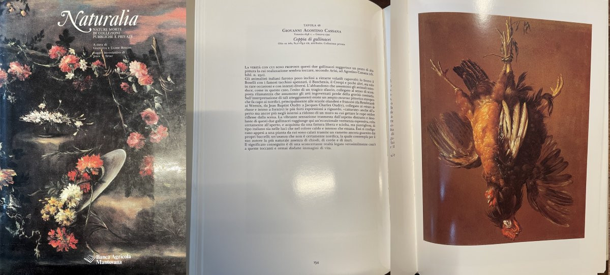 Giovanni Agostino Cassana (venice 1658 - Genoa 1720), Still Life With A Pair Of Gallinaceous-photo-1