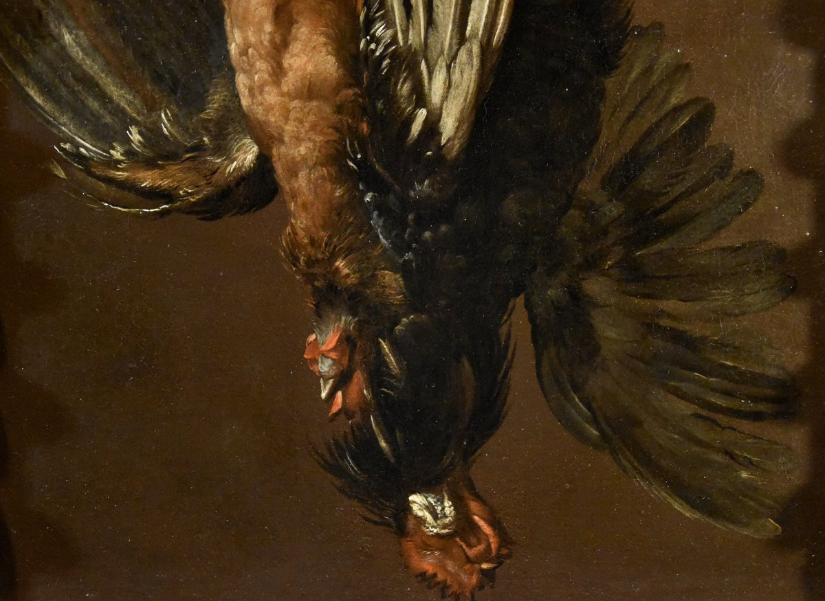 Giovanni Agostino Cassana (venice 1658 - Genoa 1720), Still Life With A Pair Of Gallinaceous-photo-3