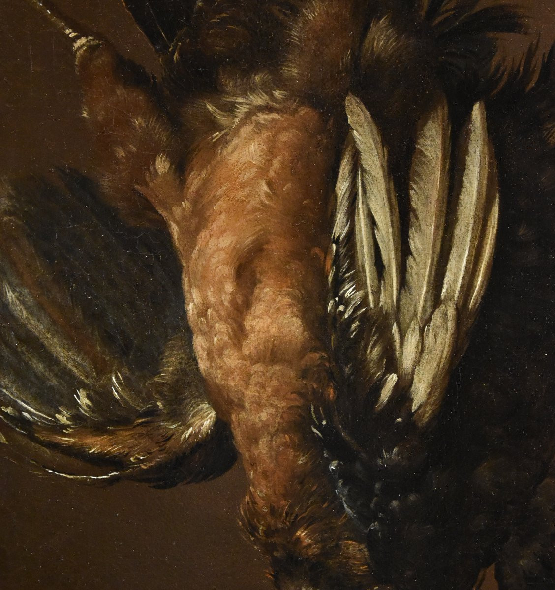 Giovanni Agostino Cassana (venice 1658 - Genoa 1720), Still Life With A Pair Of Gallinaceous-photo-4