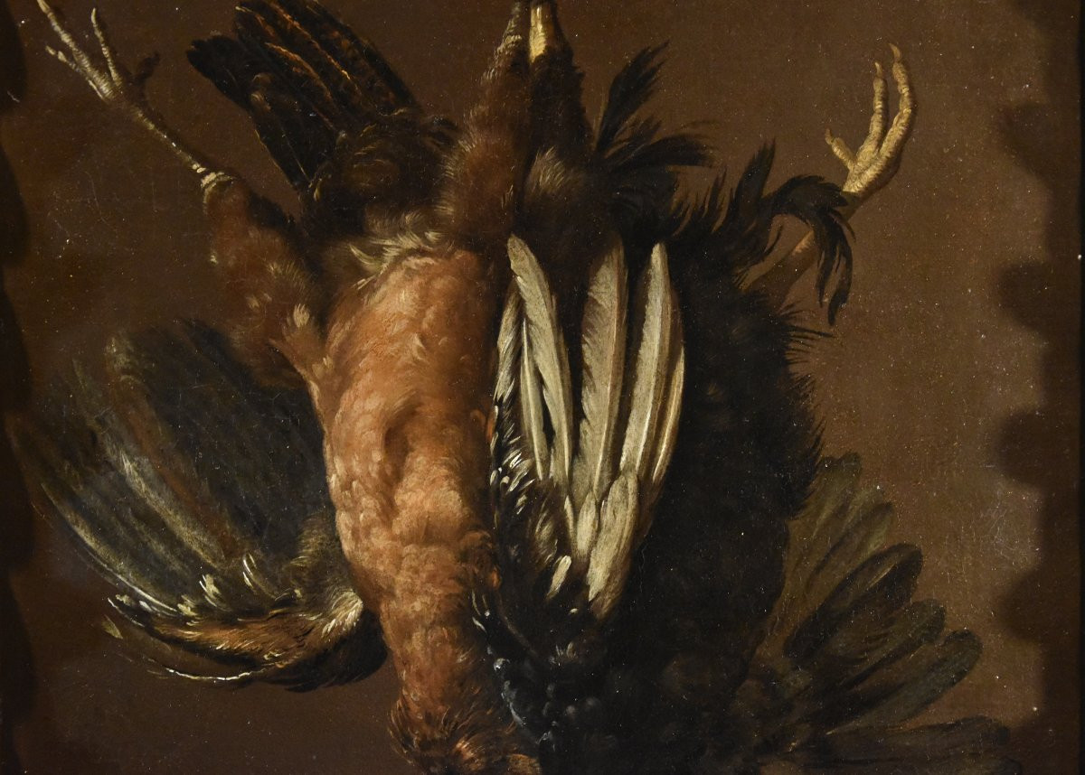 Giovanni Agostino Cassana (venice 1658 - Genoa 1720), Still Life With A Pair Of Gallinaceous-photo-5