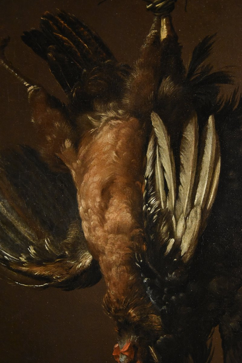 Giovanni Agostino Cassana (venice 1658 - Genoa 1720), Still Life With A Pair Of Gallinaceous-photo-6