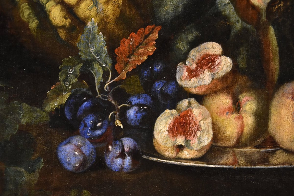 Still Life With Fruit And A Green Woodpecker, Franz Werner Von Tamm (hamburg 1658–vienna 1754)-photo-3