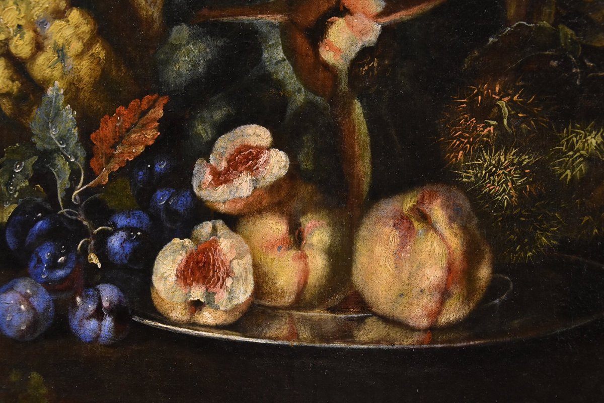 Still Life With Fruit And A Green Woodpecker, Franz Werner Von Tamm (hamburg 1658–vienna 1754)-photo-5