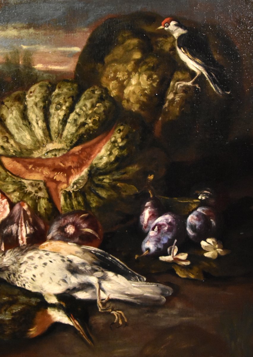 Giovanni Paolo Castelli (Rome 1659-1730), Nature Morte Dans Un Paysage-photo-4