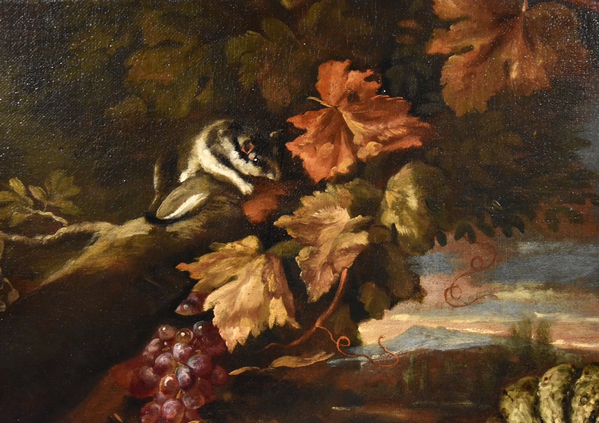 Giovanni Paolo Castelli (Rome 1659-1730), Nature Morte Dans Un Paysage-photo-5