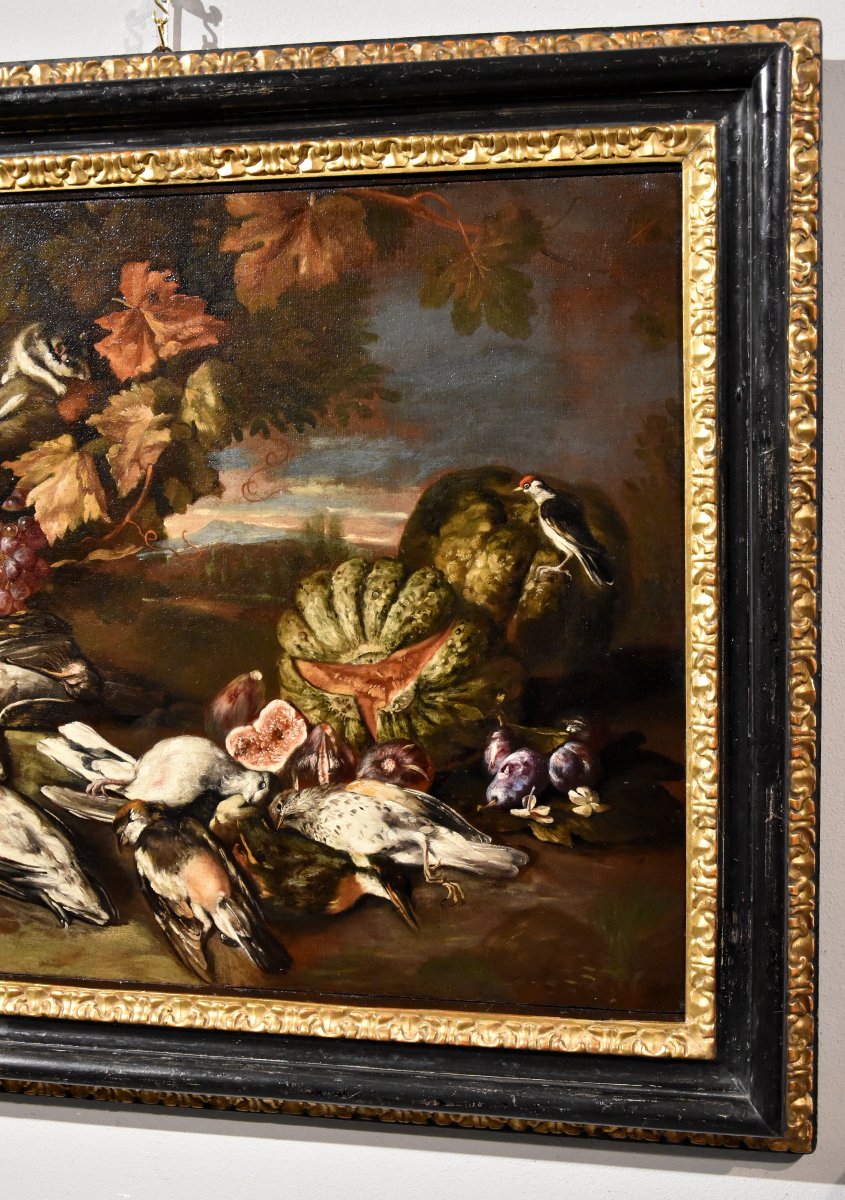 Giovanni Paolo Castelli (Rome 1659-1730), Nature Morte Dans Un Paysage-photo-7