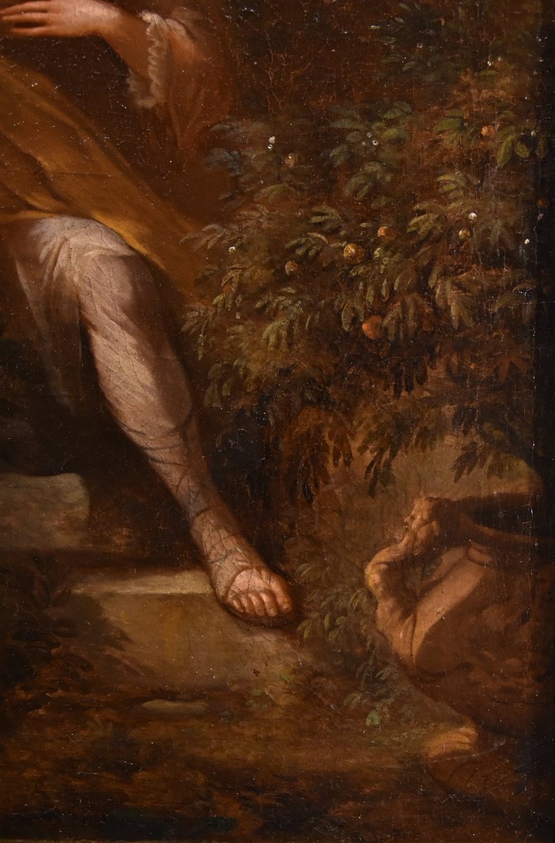 Portrait d'Un Gentleman Dans Un Jardin, Godfrey Kneller (Lübeck 1646 - Londres 1723) Cercle-photo-4