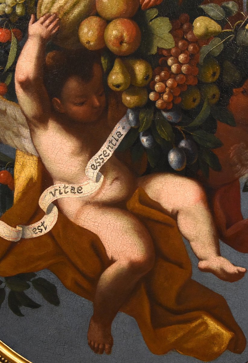 Fruit Still Life Supported By Three Angels, Luigi Garzi (pistoia 1638 – Rome 1721)-photo-2