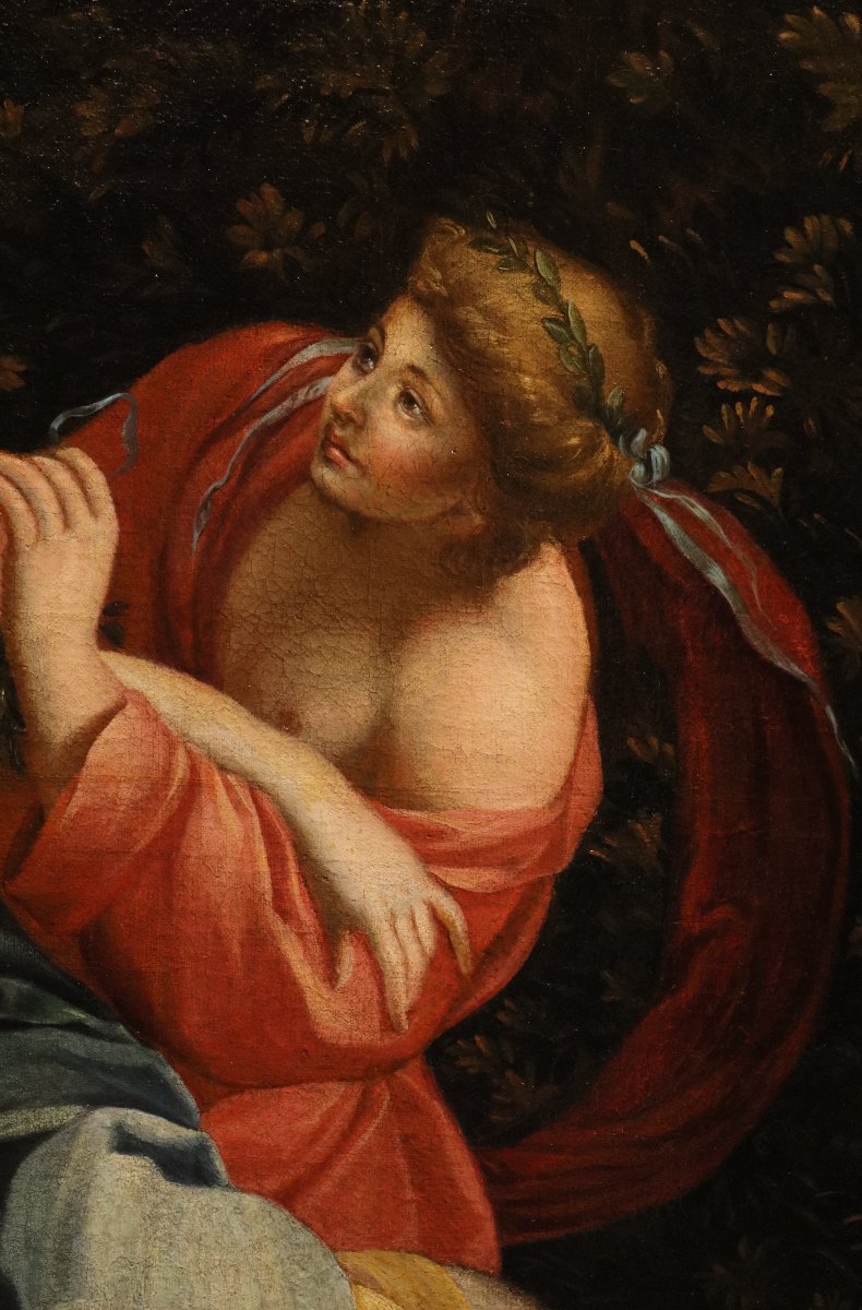 L'enlèvement d'Europe, Simon Vouet (Paris, 1590 – 1649) atelier/suiveur de-photo-7