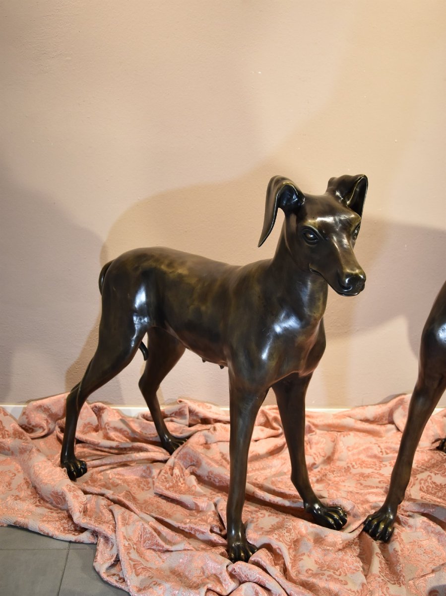 Pair Of Art Deco Bronze Greyhounds, France, 20th Century-photo-1