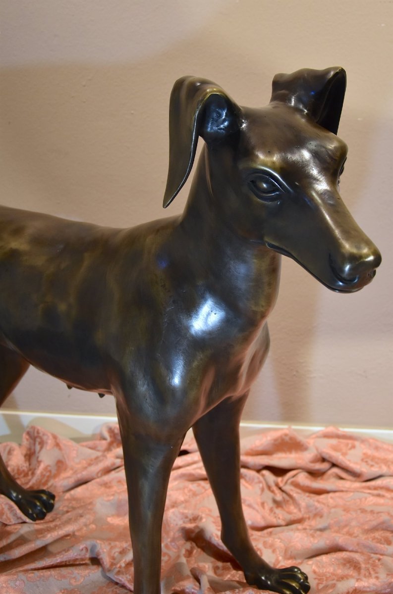 Pair Of Art Deco Bronze Greyhounds, France, 20th Century-photo-6