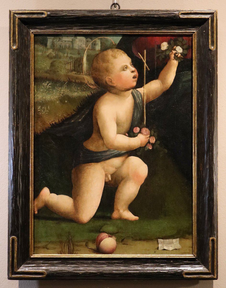 Saint Jean-Baptiste enfant, Marco Palmezzano (Forlì, vers 1459 – 1539) et atelier -photo-2
